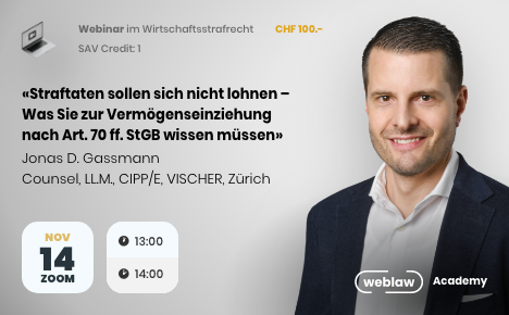 Webinar_Wirtschaftsstrafrecht-Straftaten